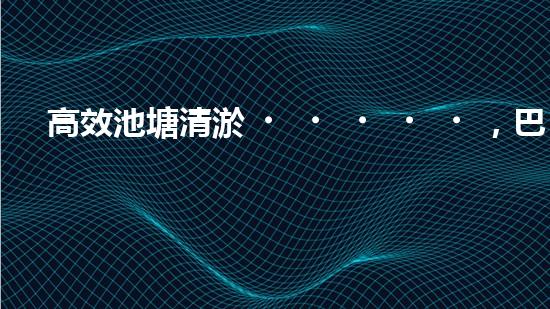 高效池塘清淤，巴洛仕設(shè)備助您一臂之力